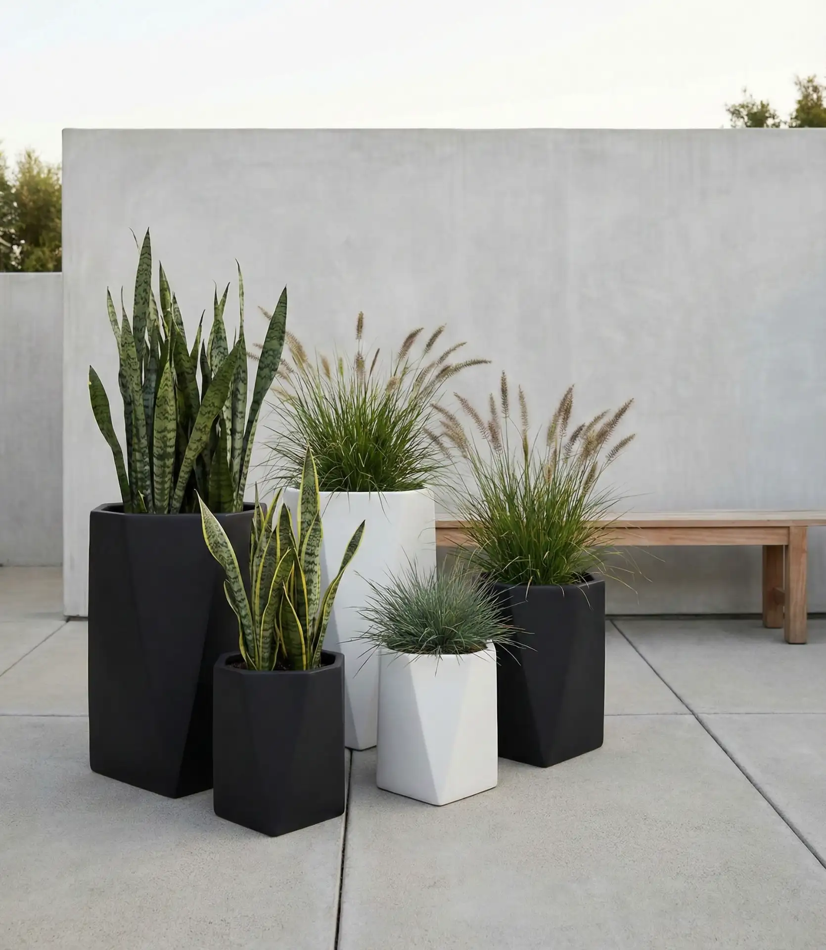 Modern Minimalist Planter Arrangement 1
