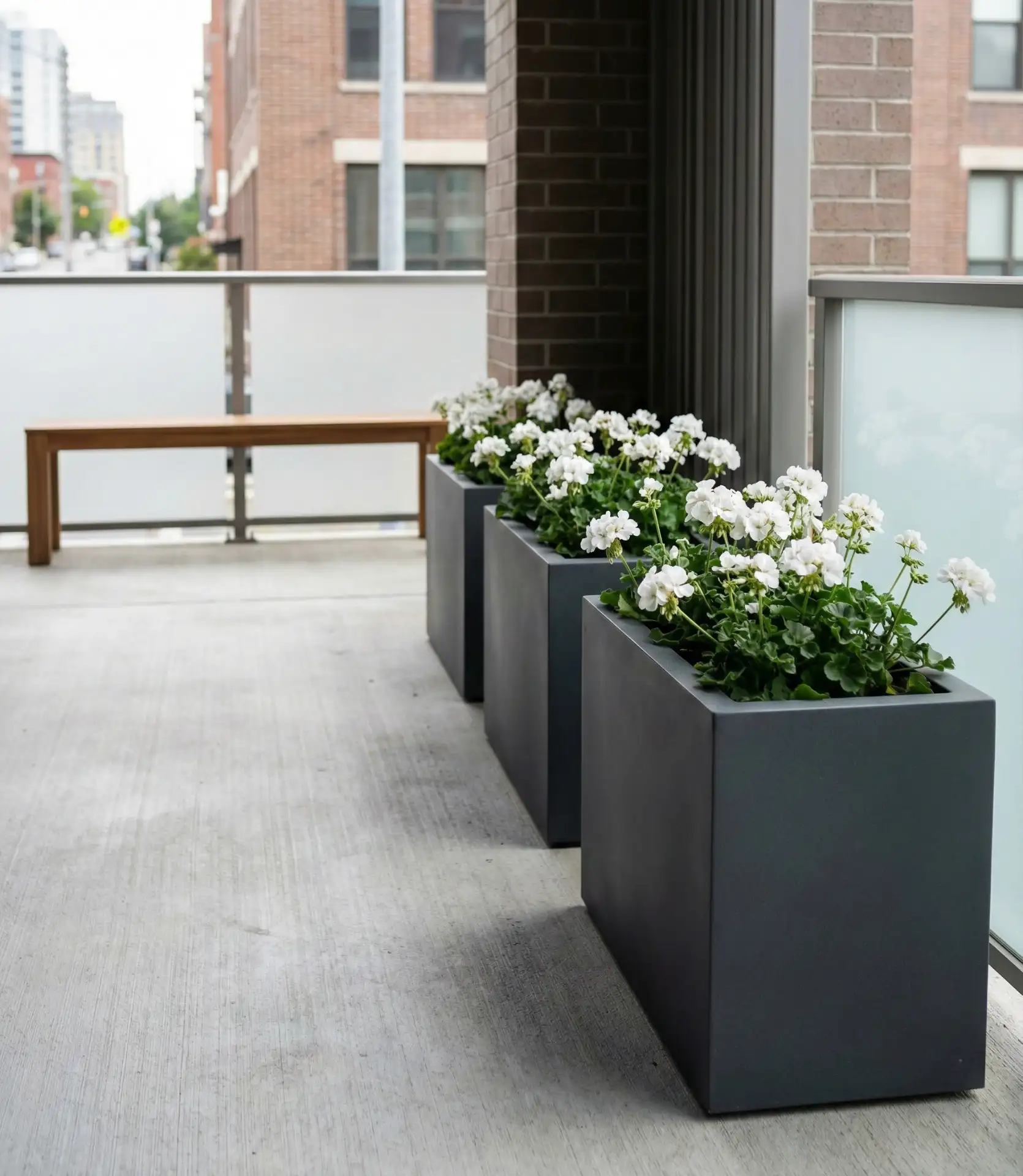 Modern Minimalist Planter Trio 1
