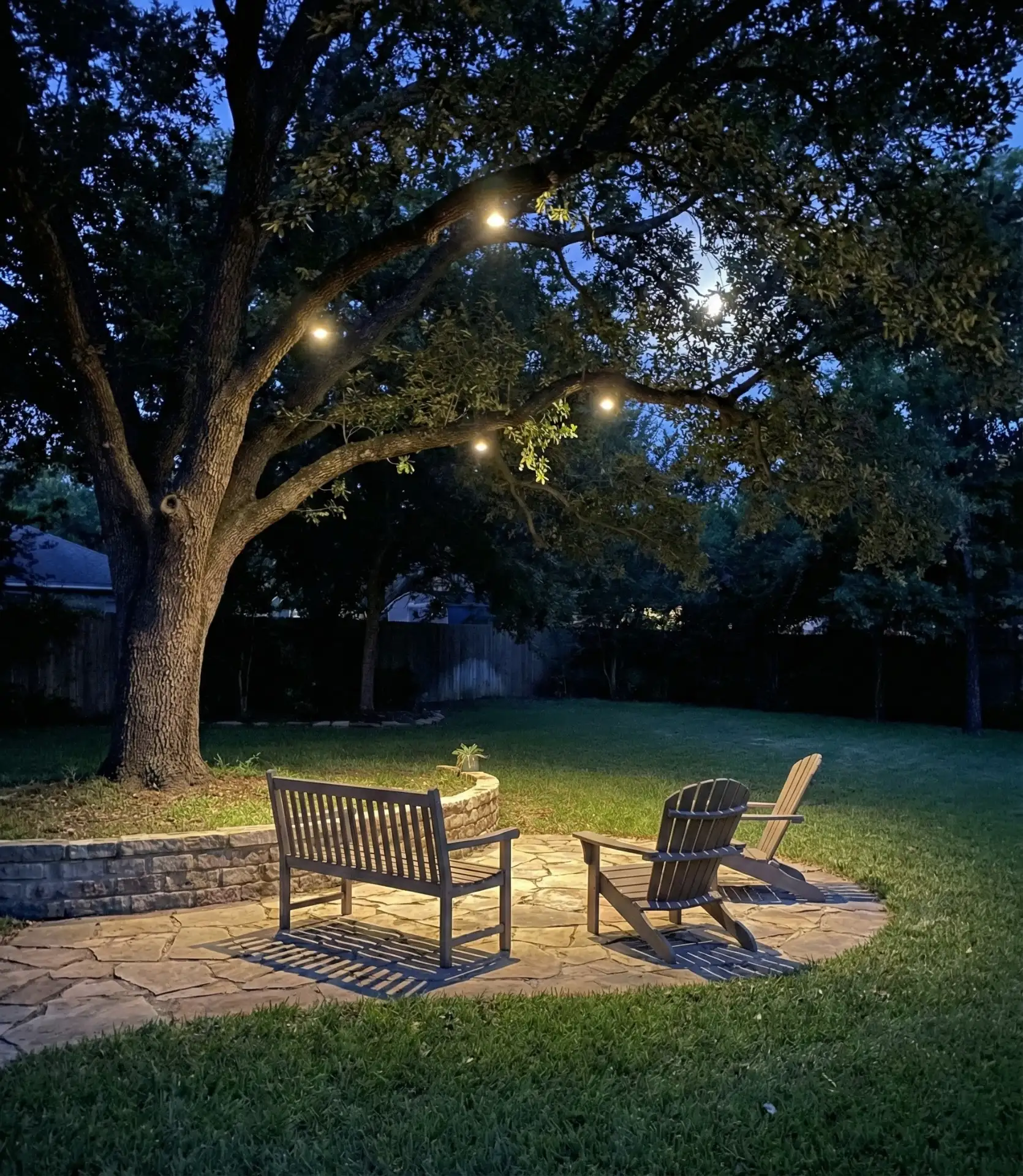 Moonlighting Through Tree Canopies 2