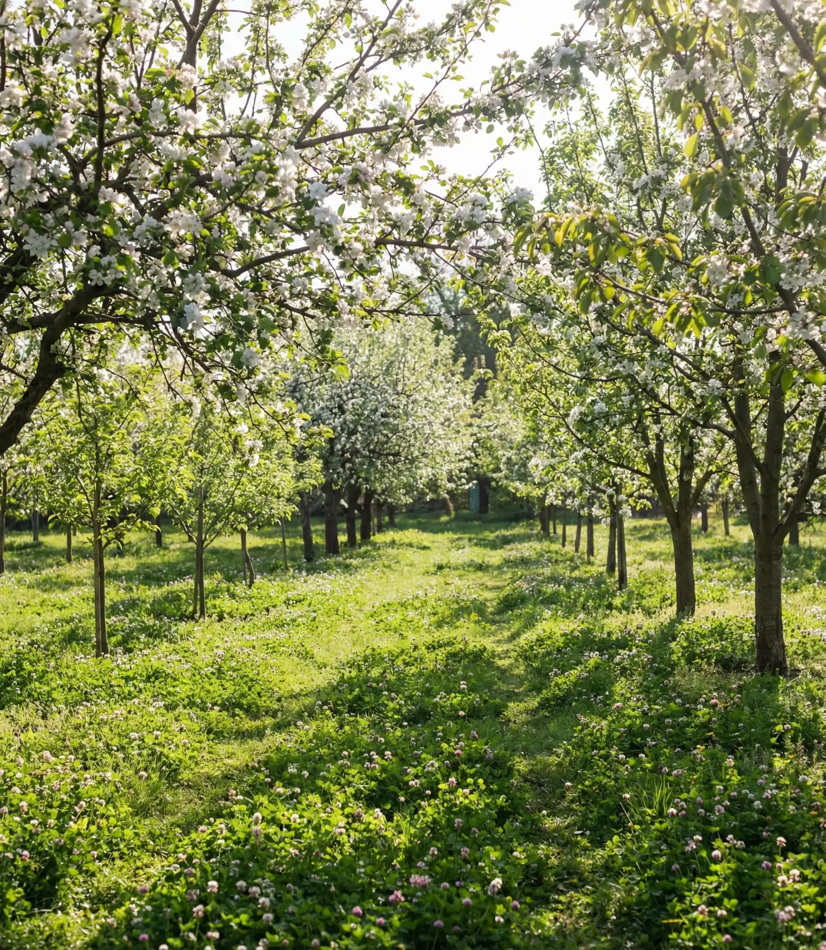 Multi-Season Fruit Tree Grove 2