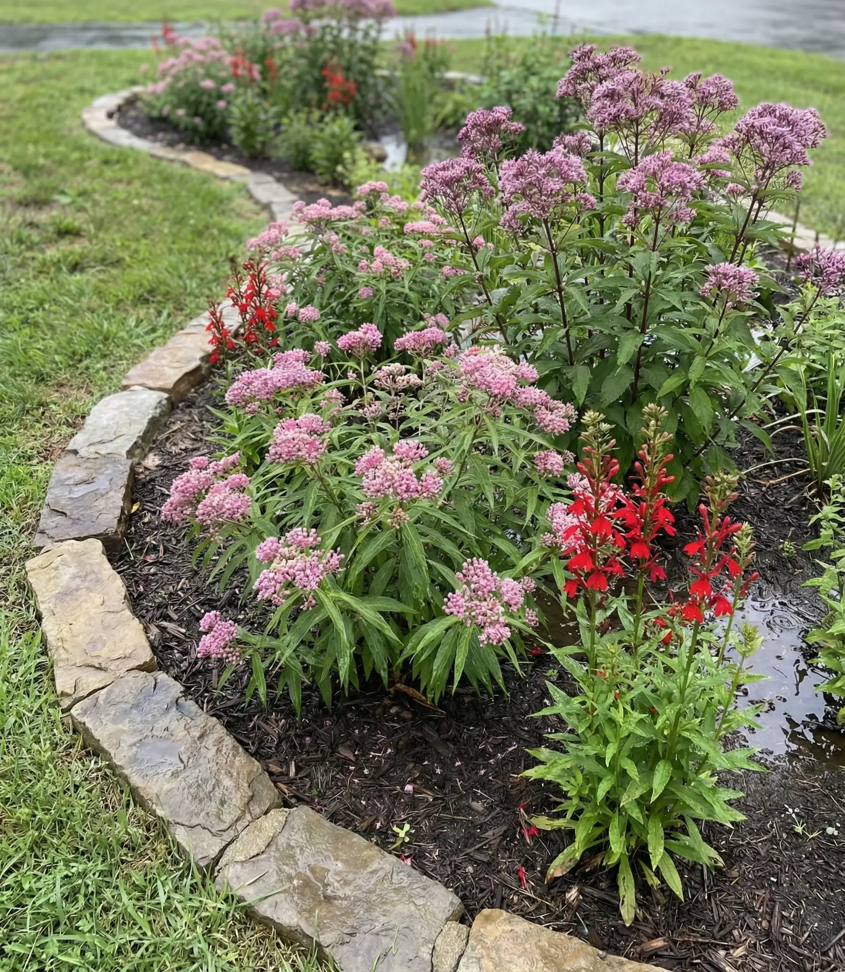 Rain Garden Butterfly Basin 2