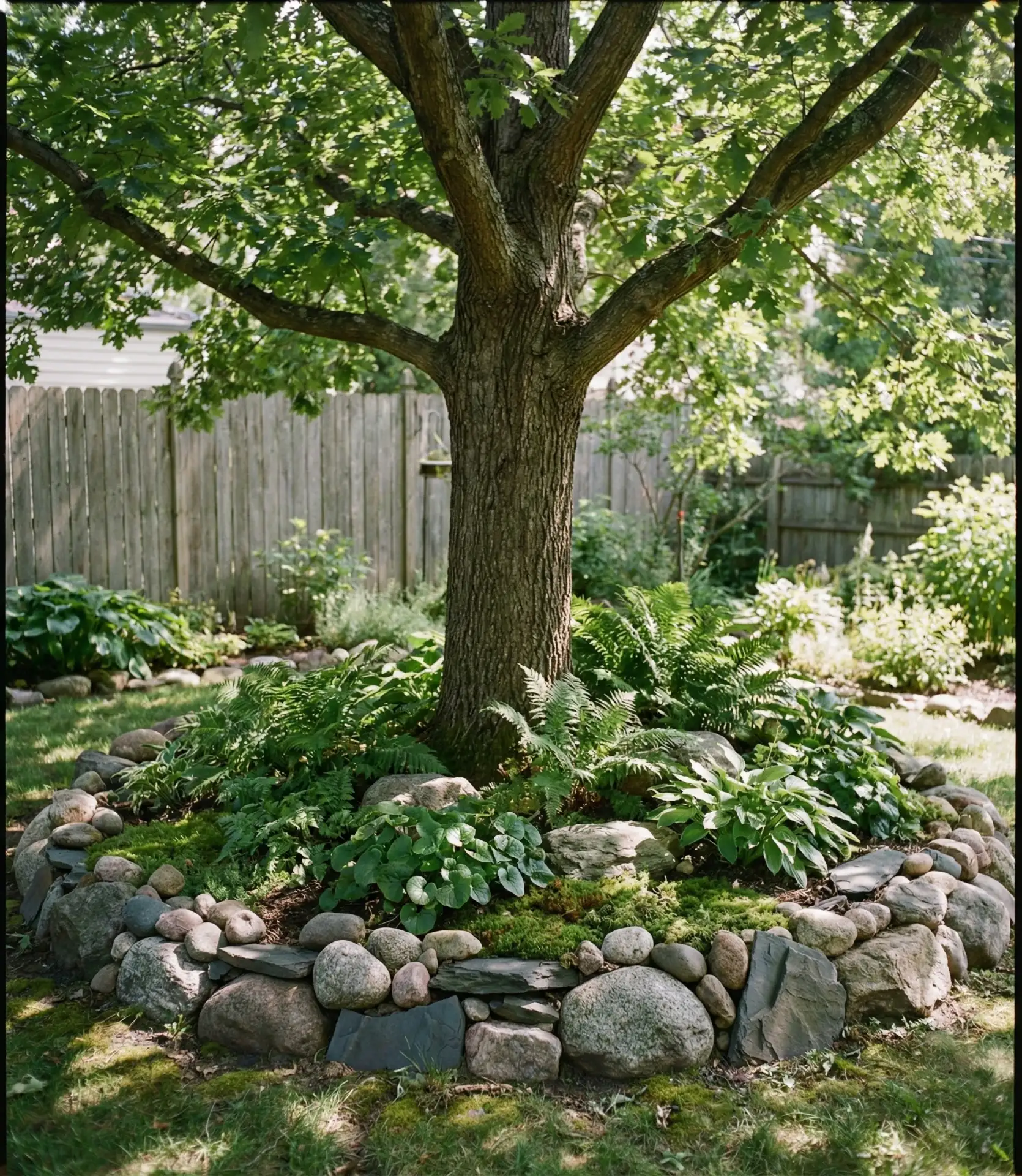 Rock Garden Around Mature Trees 1