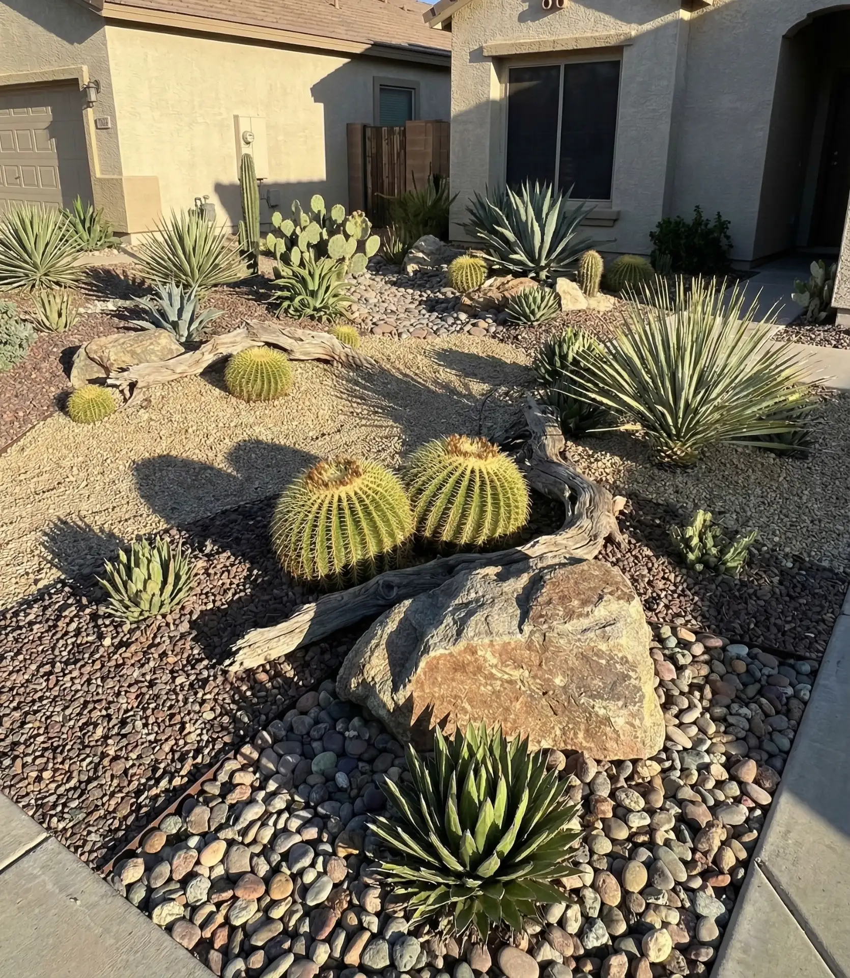 Succulent and Cactus Display 2