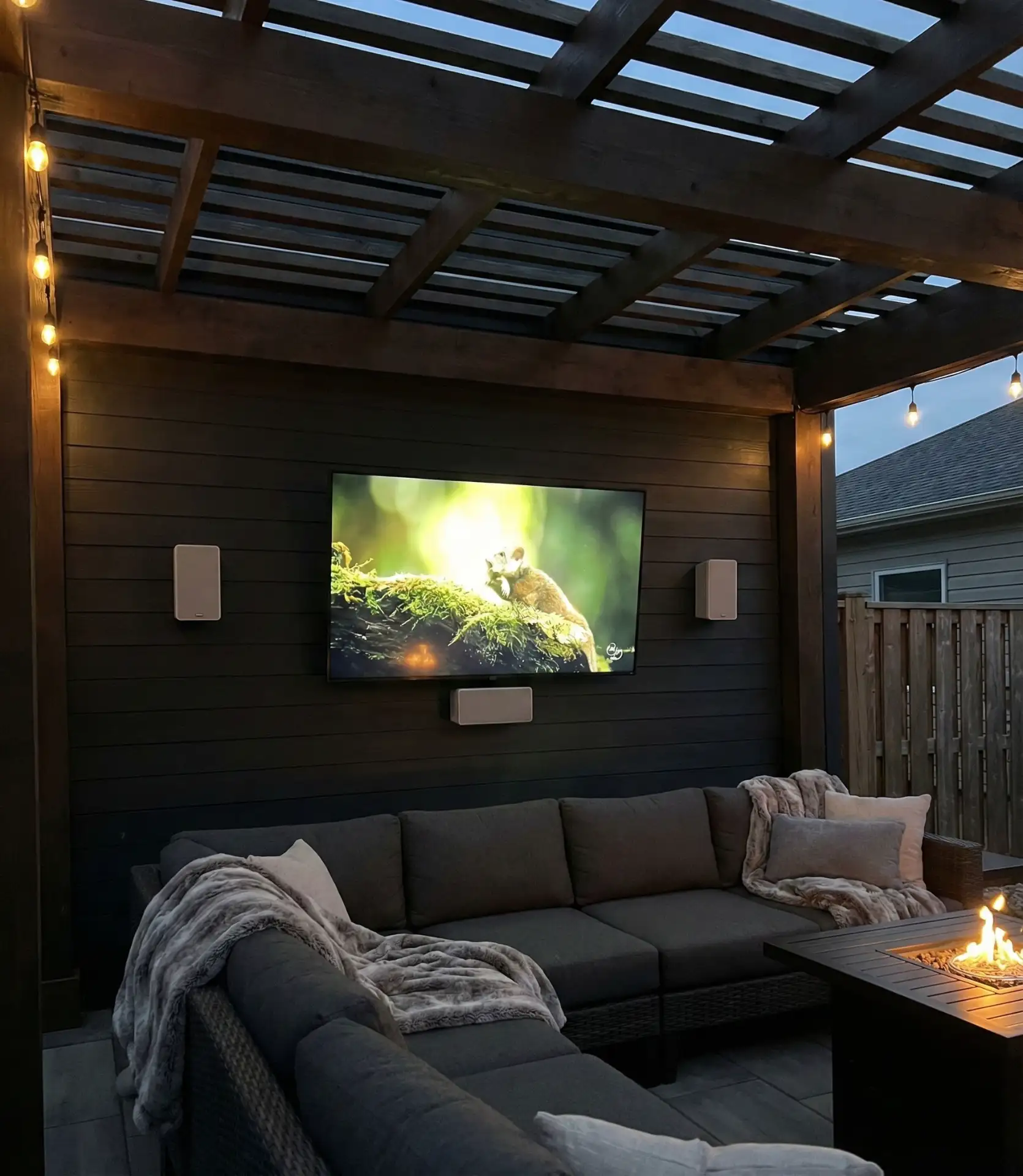 TV and Sound System Outdoor Theater 2