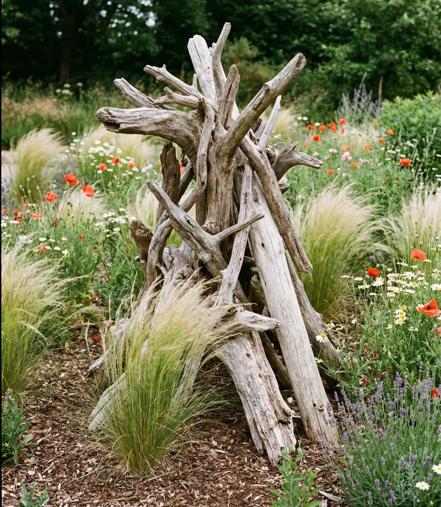 Unique Driftwood Garden Sculptures 2