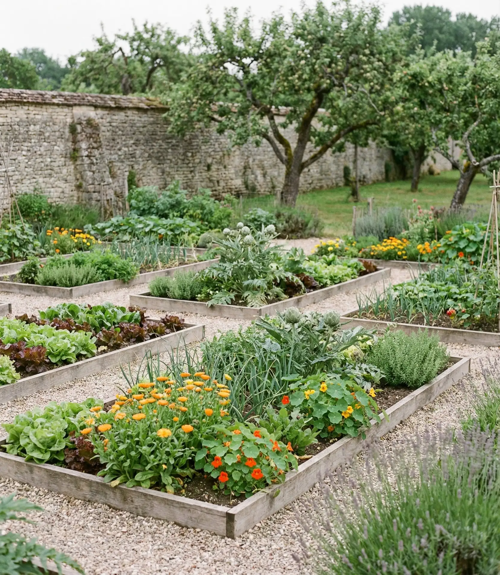 Veggie Garden Potager 1
