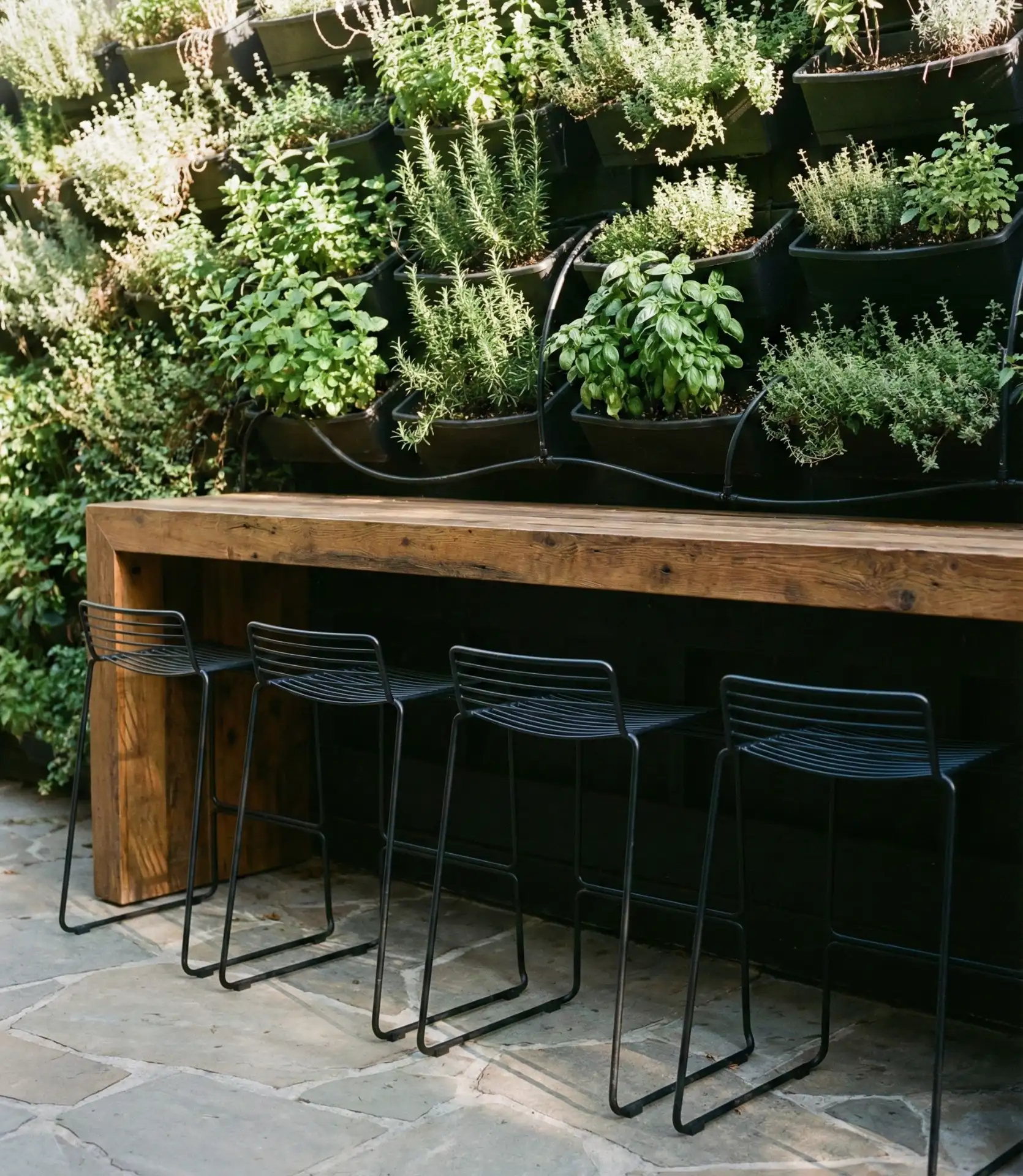 Vertical Garden Bar with Herb Wall 2