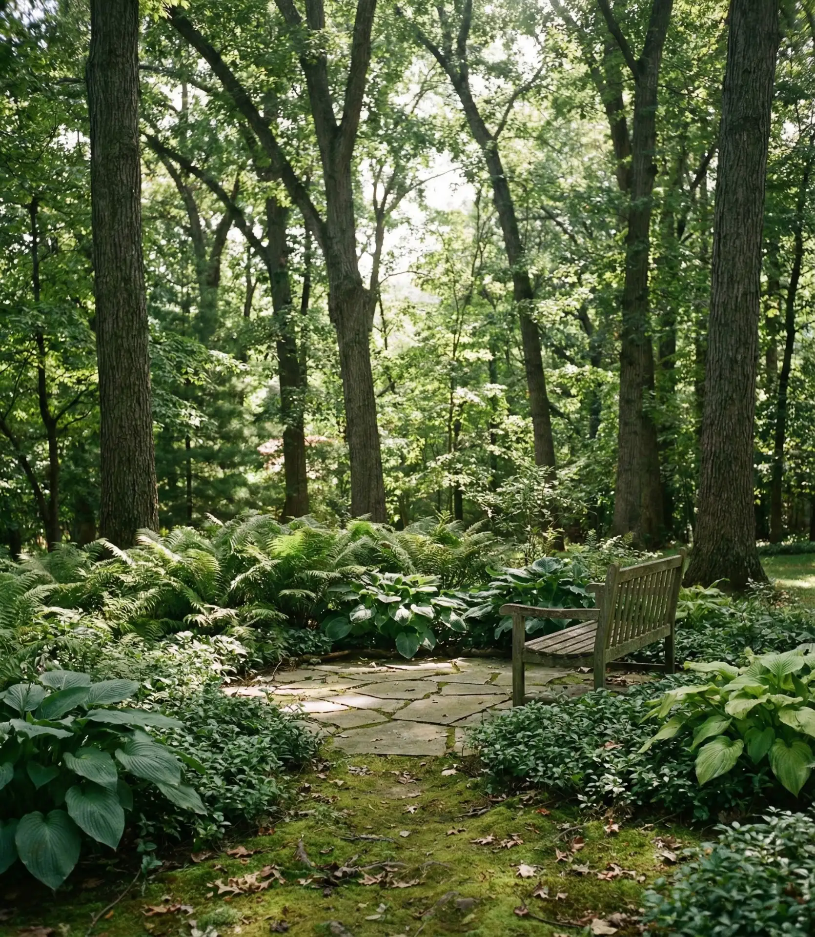Woodland Shade Garden with Seating Nook 2