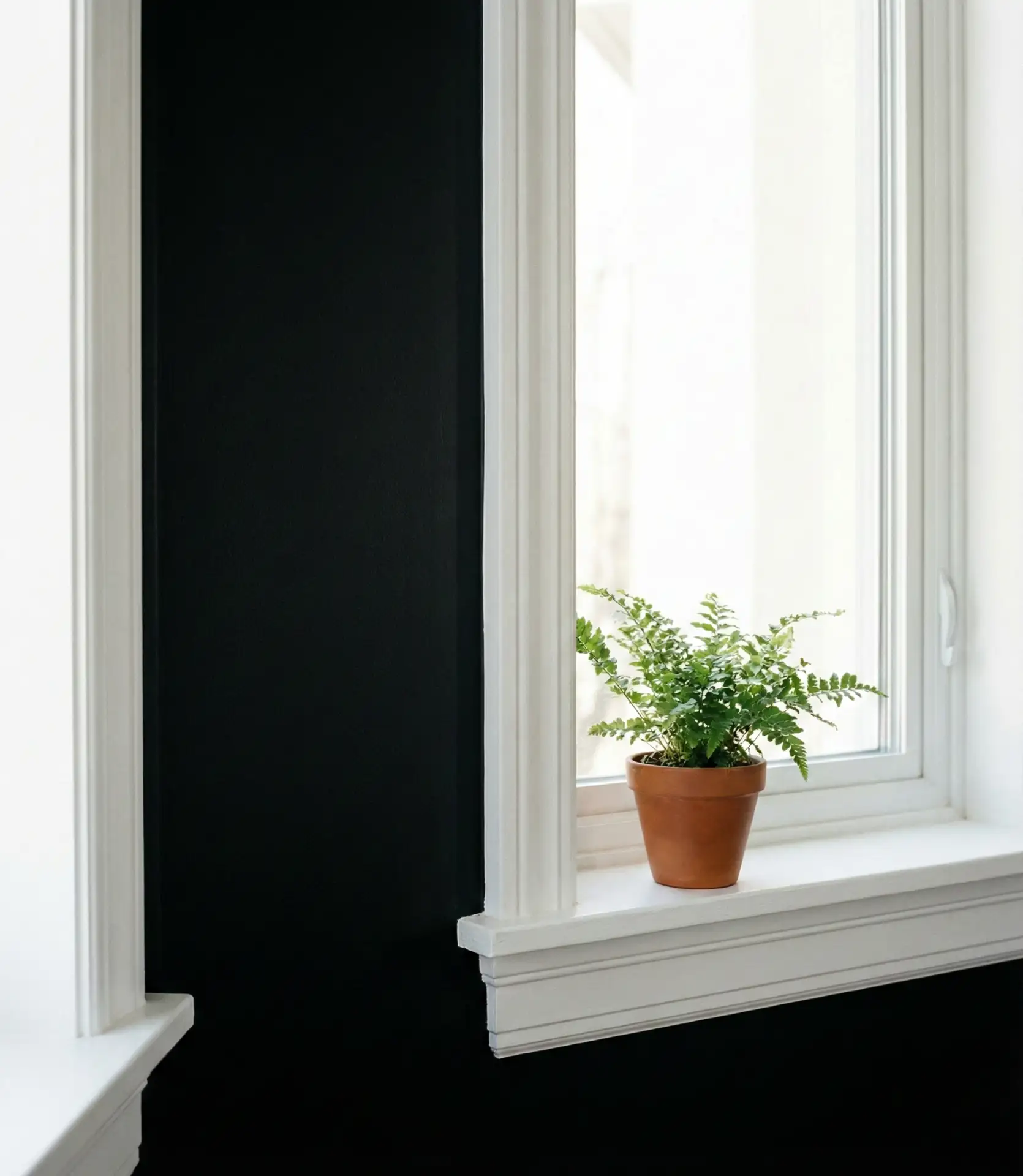 Black Accent Wall with Window Frames Painted White 1