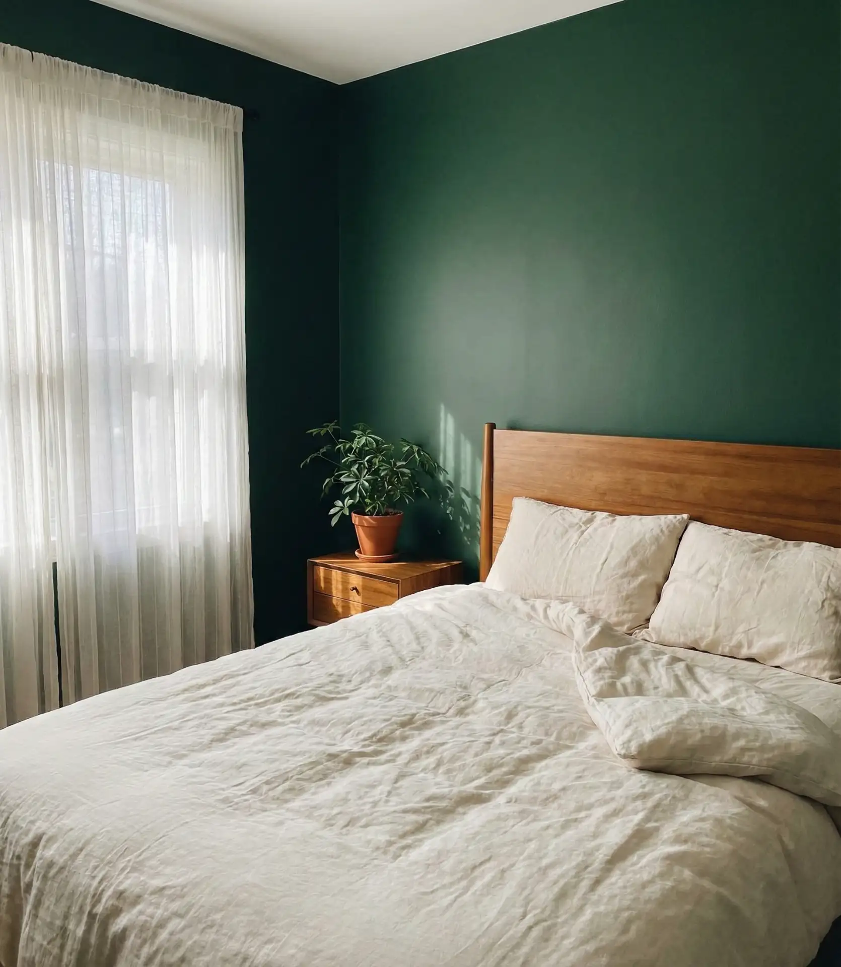 Deep Forest Green with Natural Wood Accets 2