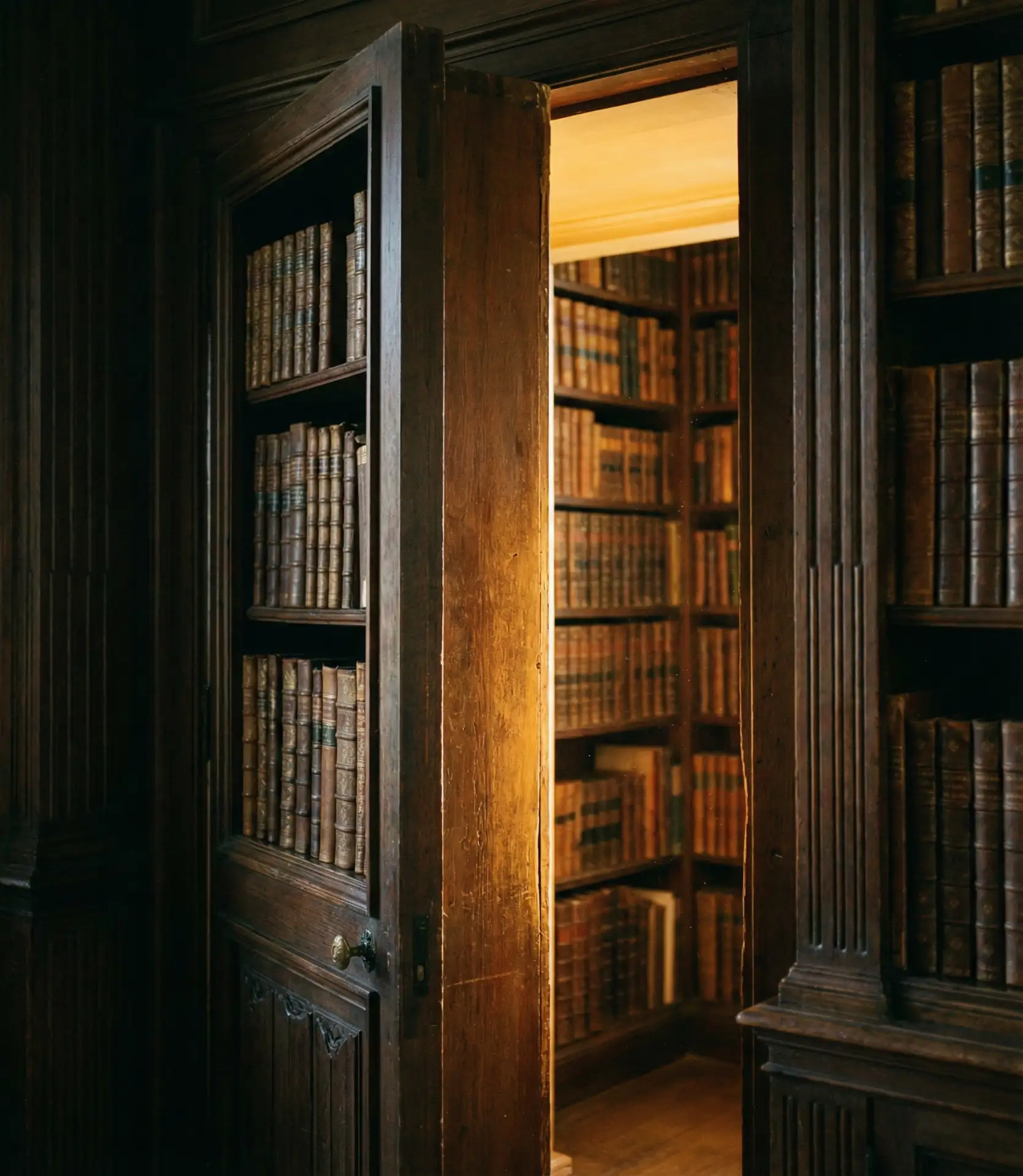 Harry Potter Inspired Hidden Library 2