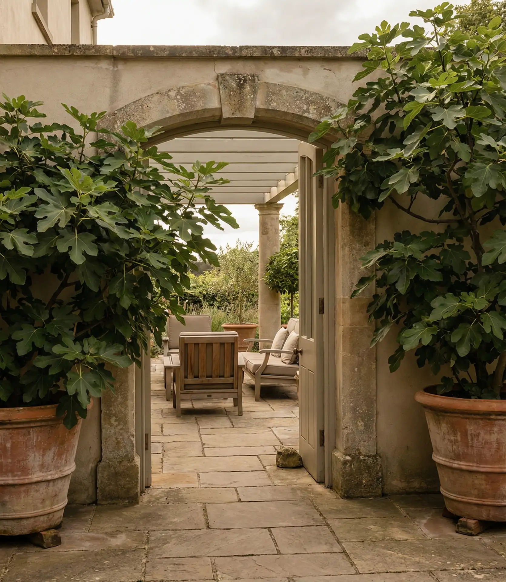 Indoor-Outdoor Flow with Potted Trees 2