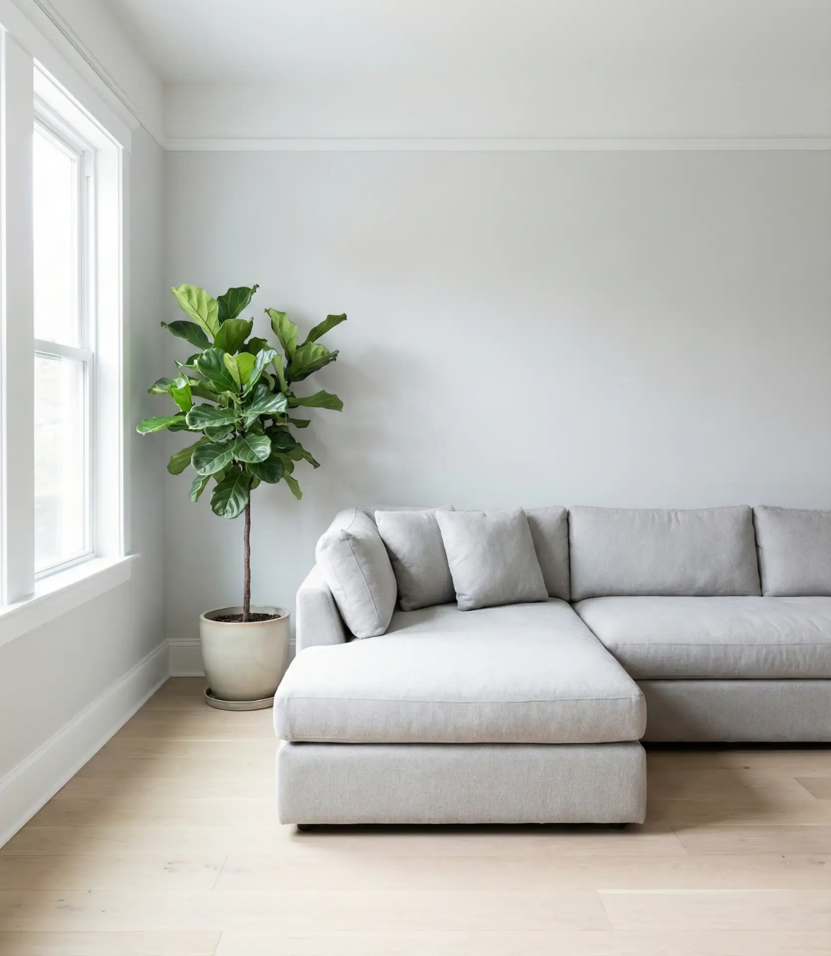 Light Grey and White Minimalist Palette 1