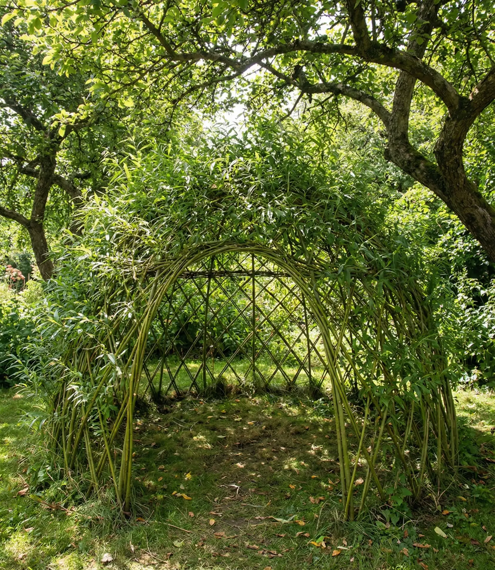 Living Willow Playhouse 2