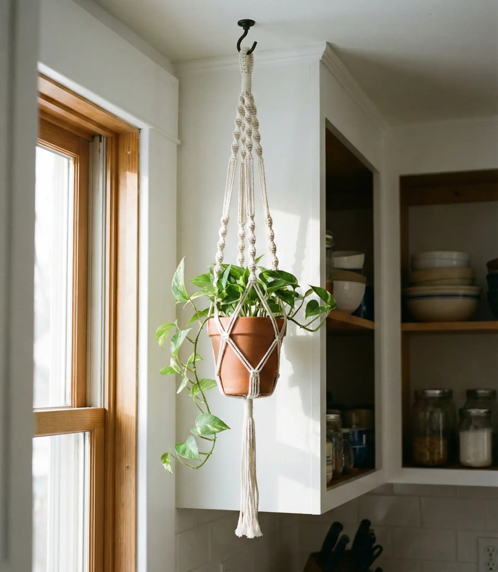 Macramé Plant Hangers in the Window Frame 2