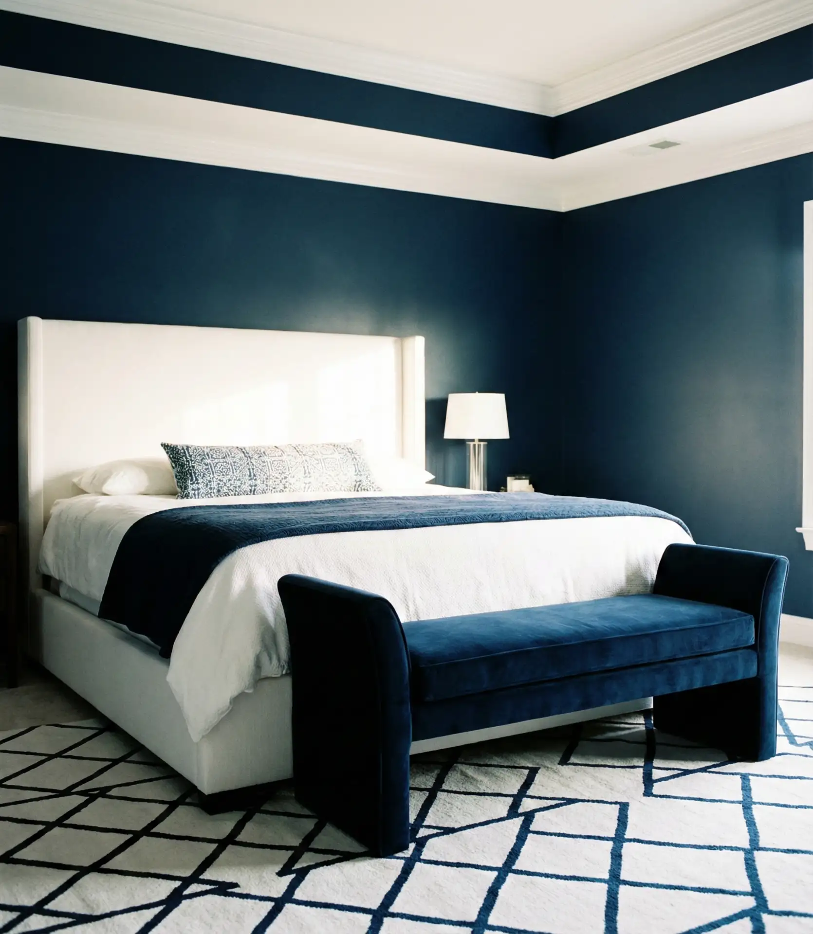 Navy and White Contrast 2