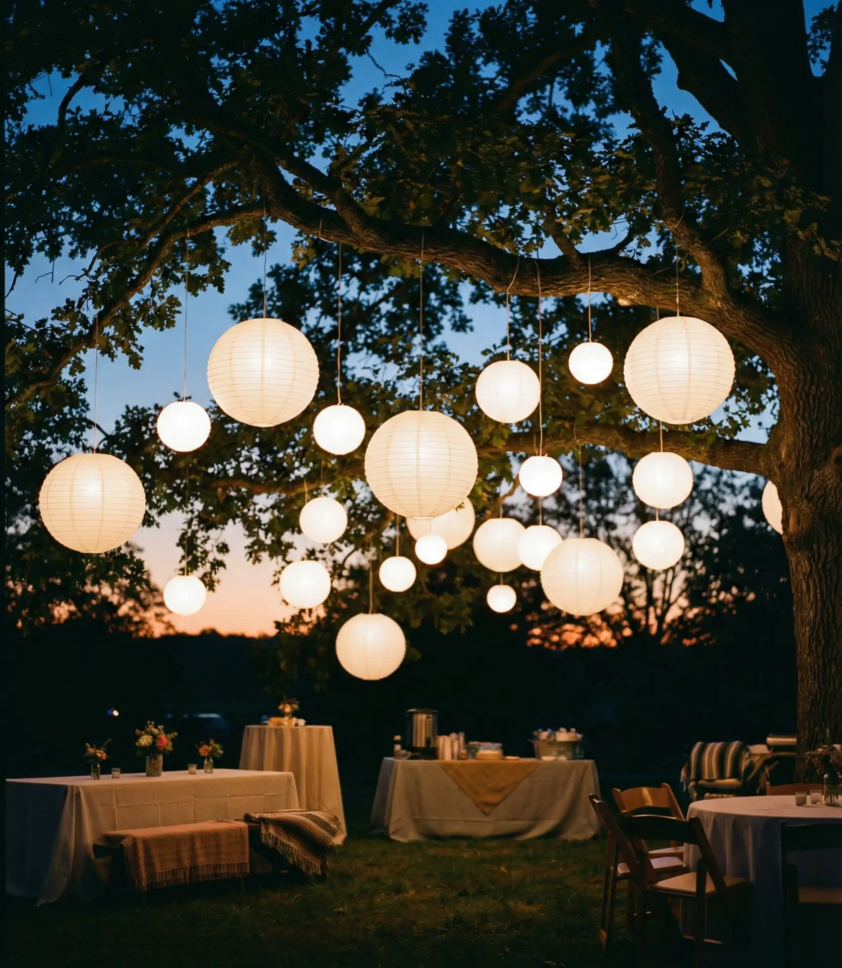 Paper Lantern Tree Clusters 1
