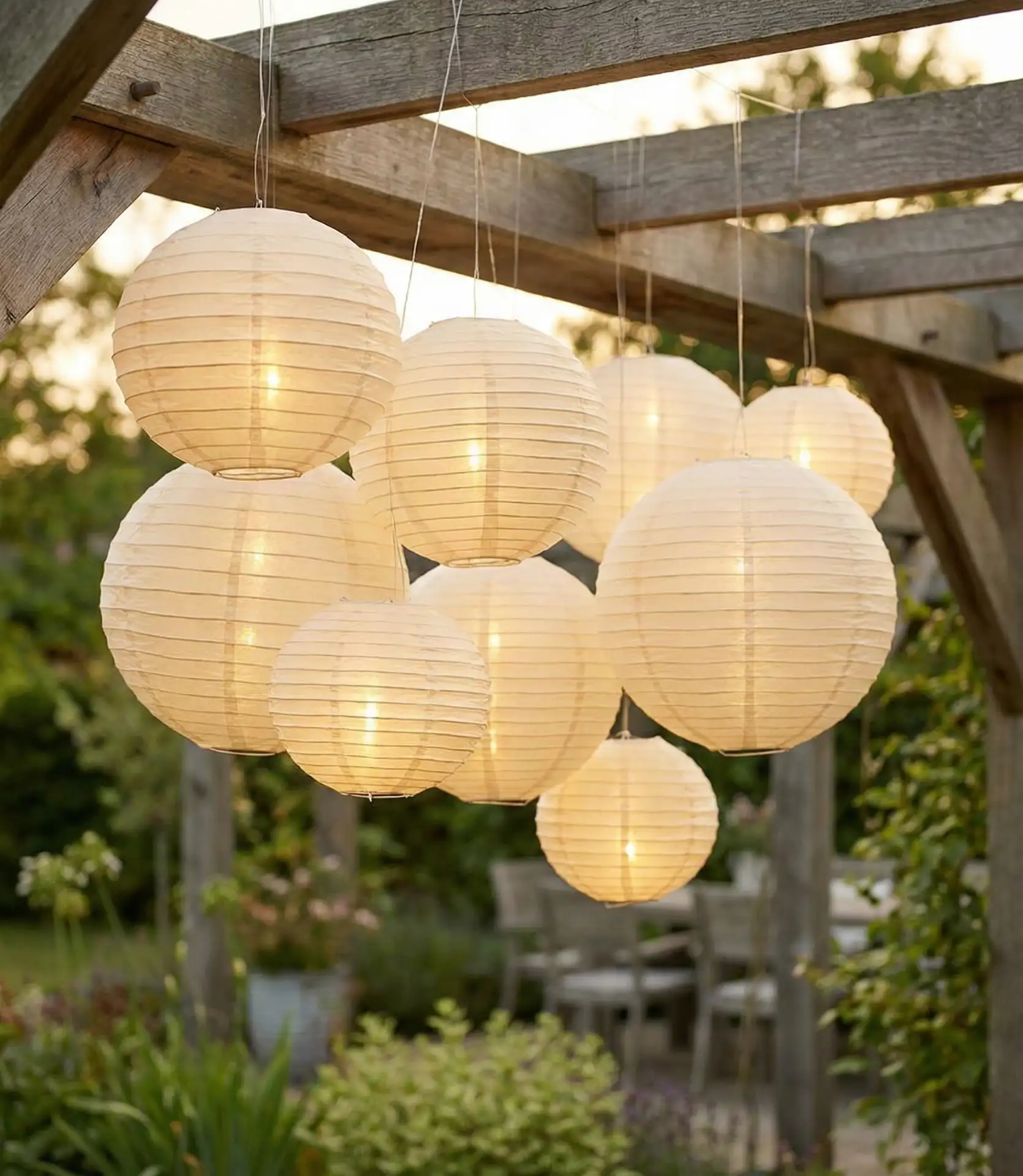 Paper Lantern Tree Clusters 2