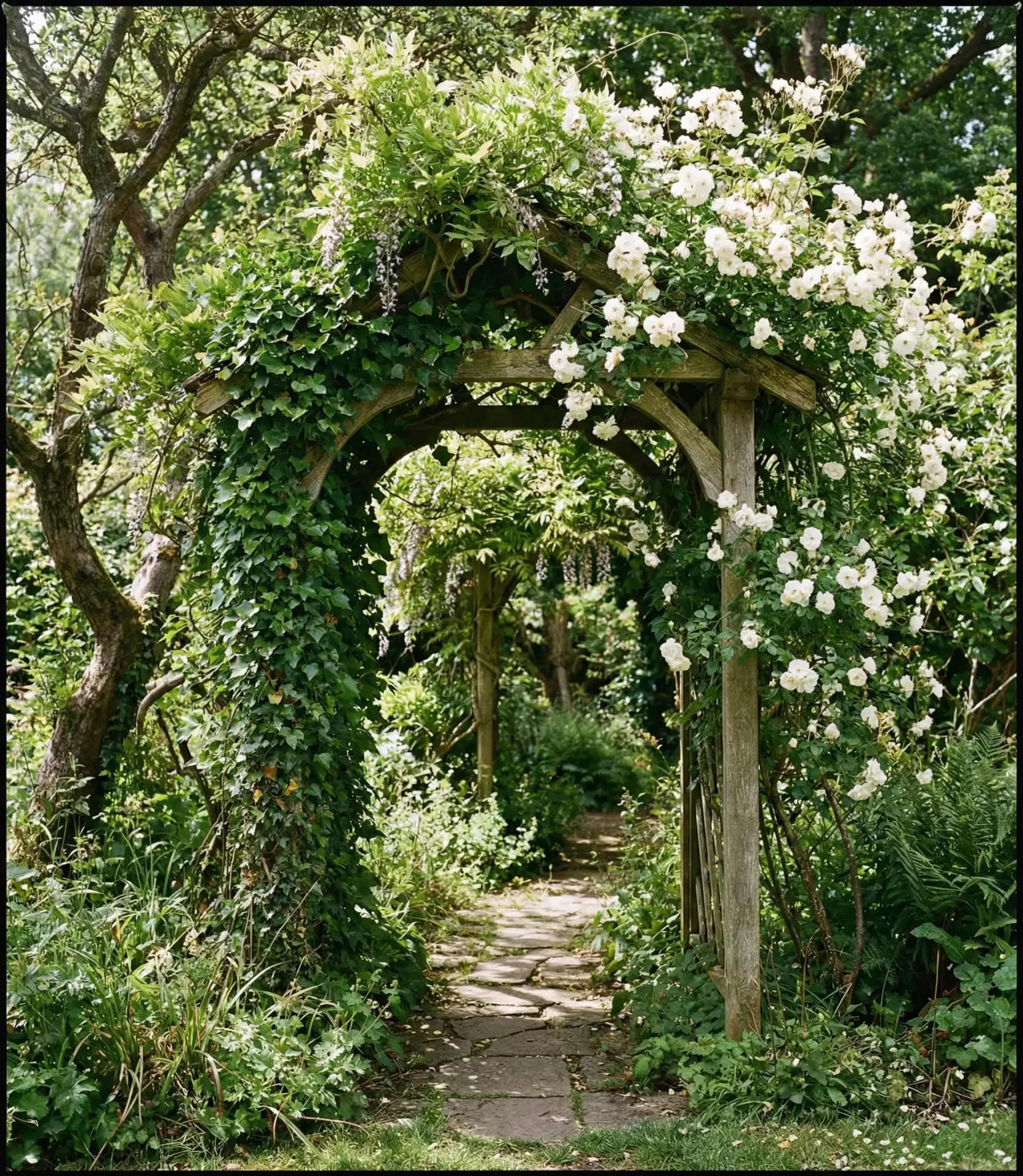 Secret Garden Vine-Covered Arbor 1