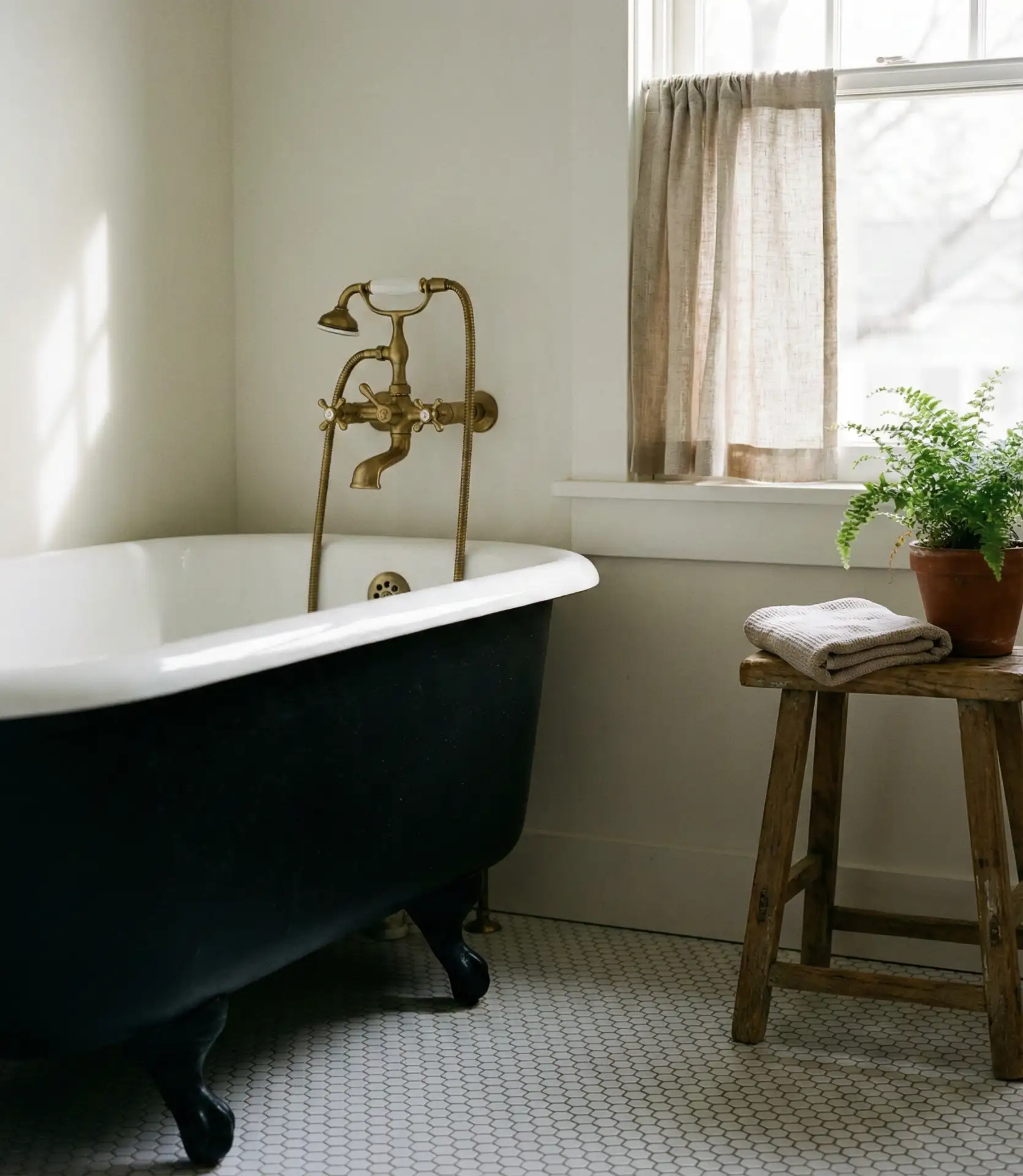 Vintage Clawfoot Tub with Black Exterior 2