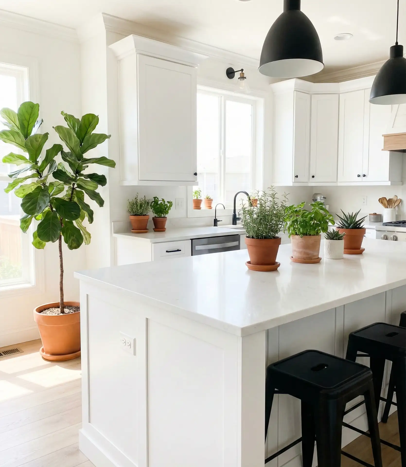 White Kitchen with Green Plant Accents 2