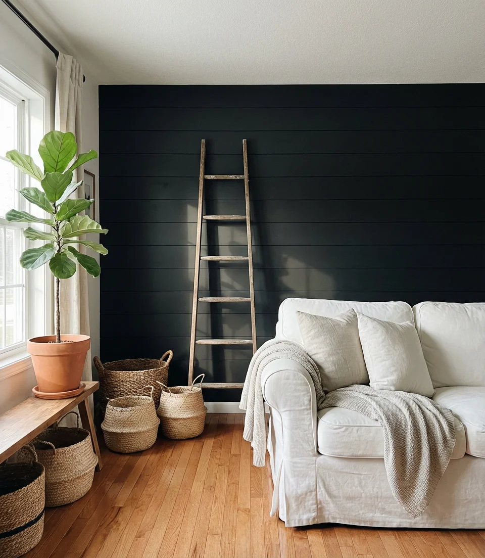 Farmhouse Contrast with Shiplap 1