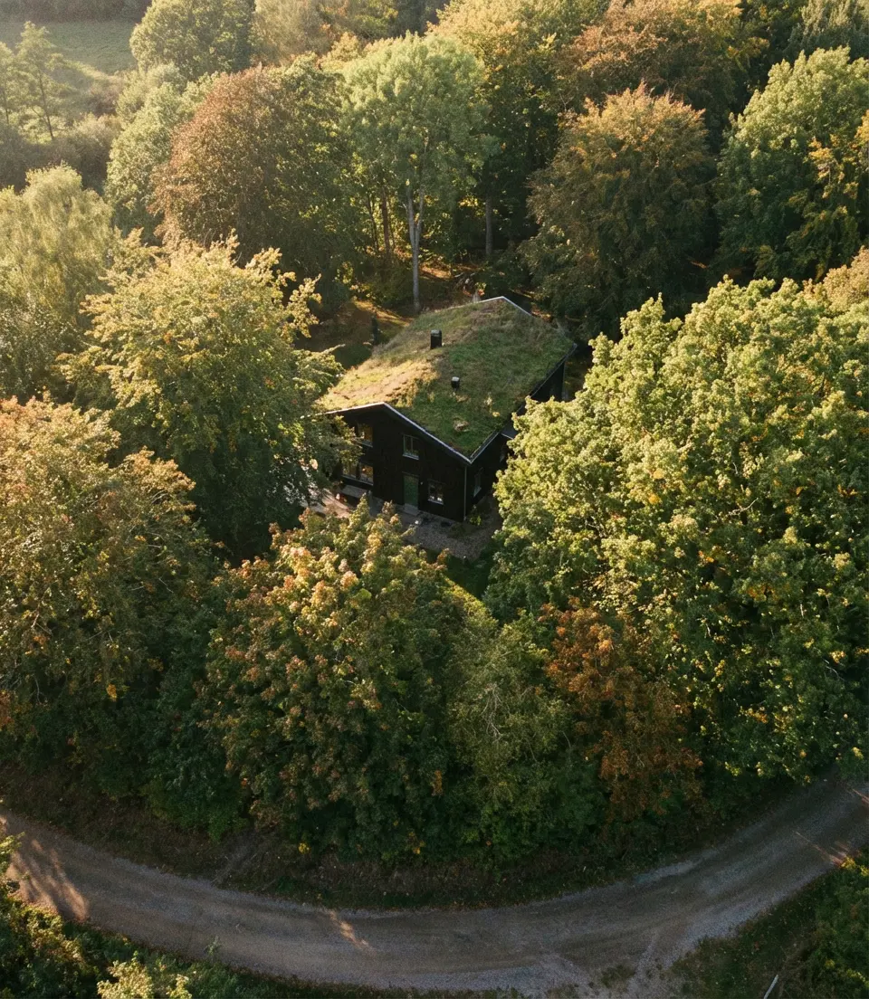 Dark Green Roof with Matching Dark Body 2