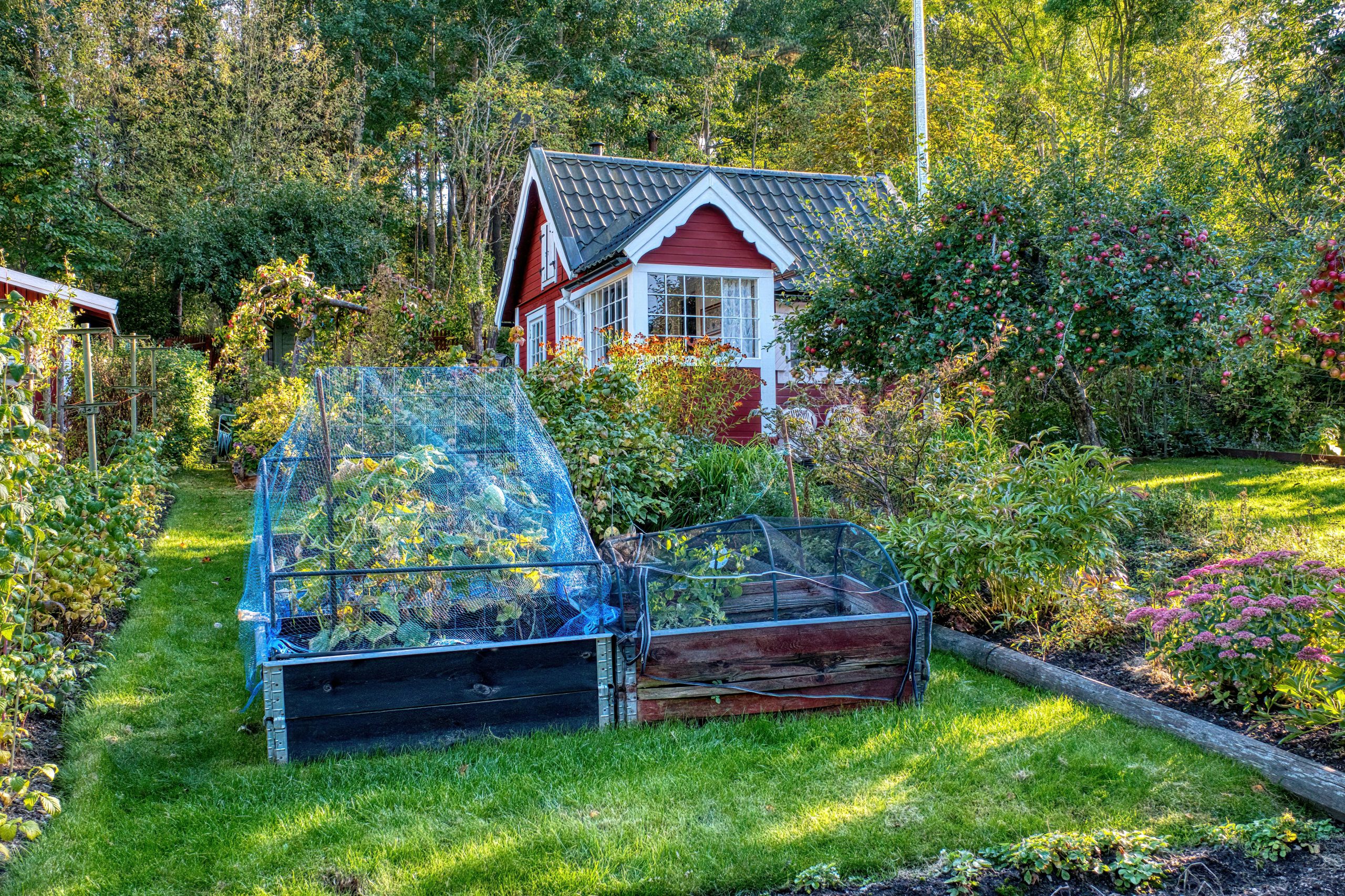 A picturesque red cottage surrounded by lush gardens in Stockholm on a sunny day.