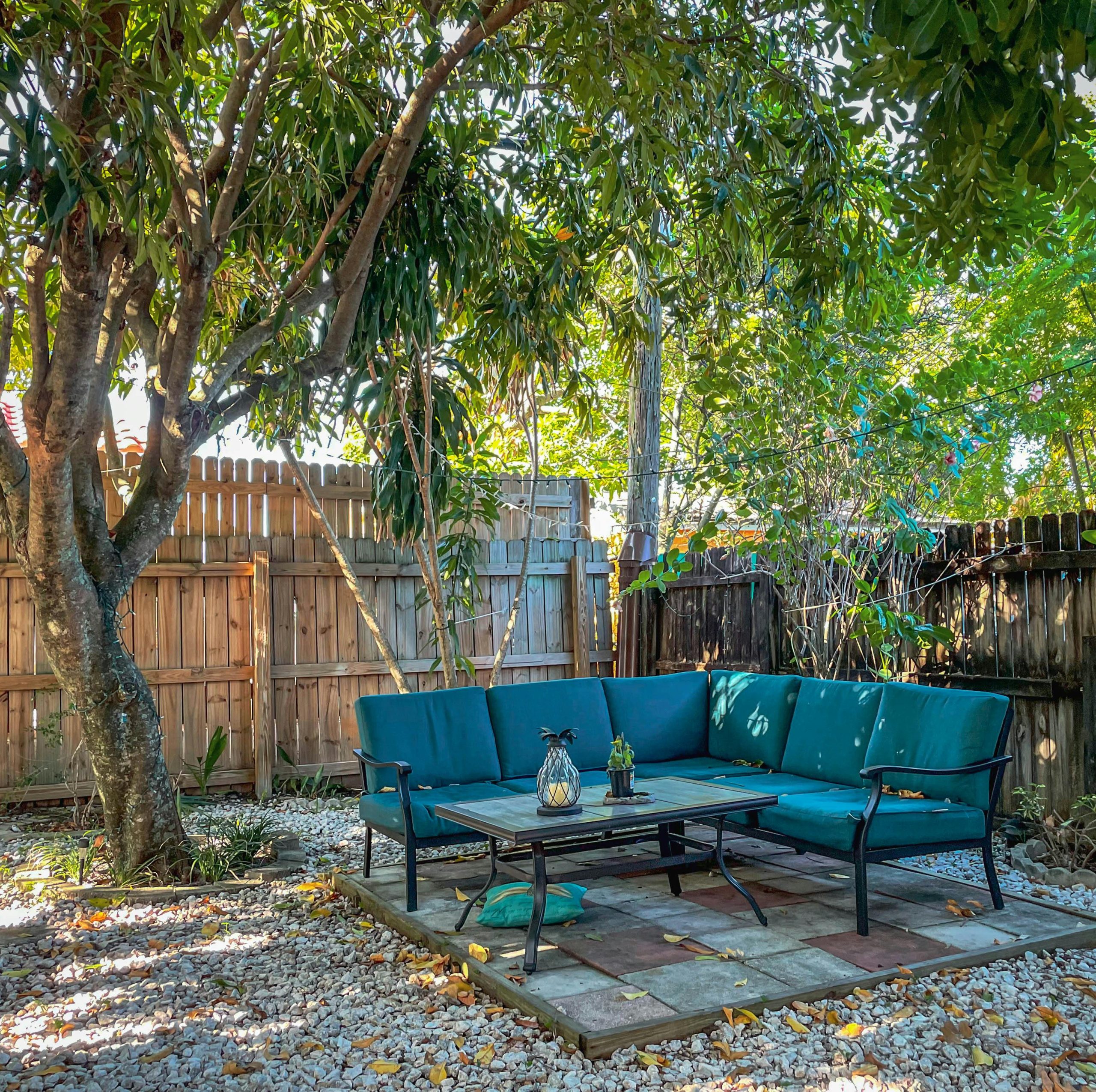Cozy backyard patio with teal sofa and greenery in West Palm Beach, FL.