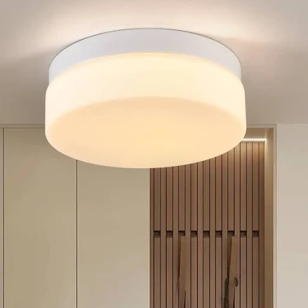 Jopath 12 inch LED Ceiling Light