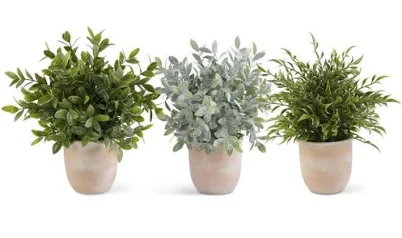 Terracotta Potted Plants Large ZZ Plant