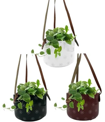 LiveTrends Ice Basket - Assorted Trai...