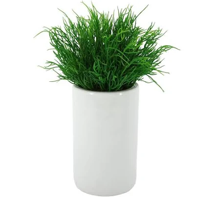 House of Silk Flowers Faux Saltwort C...