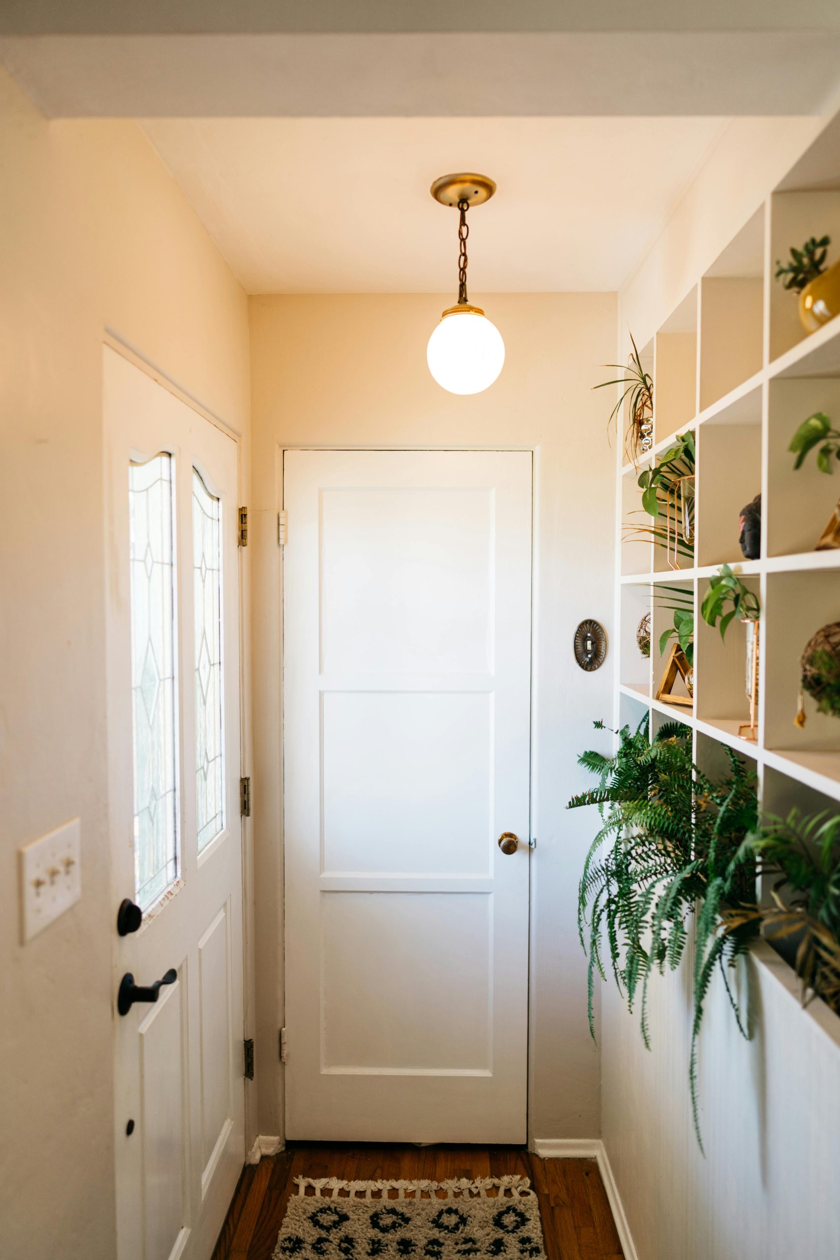 Warm and inviting home entryway featuring indoor plants, white door, and minimalist decor.