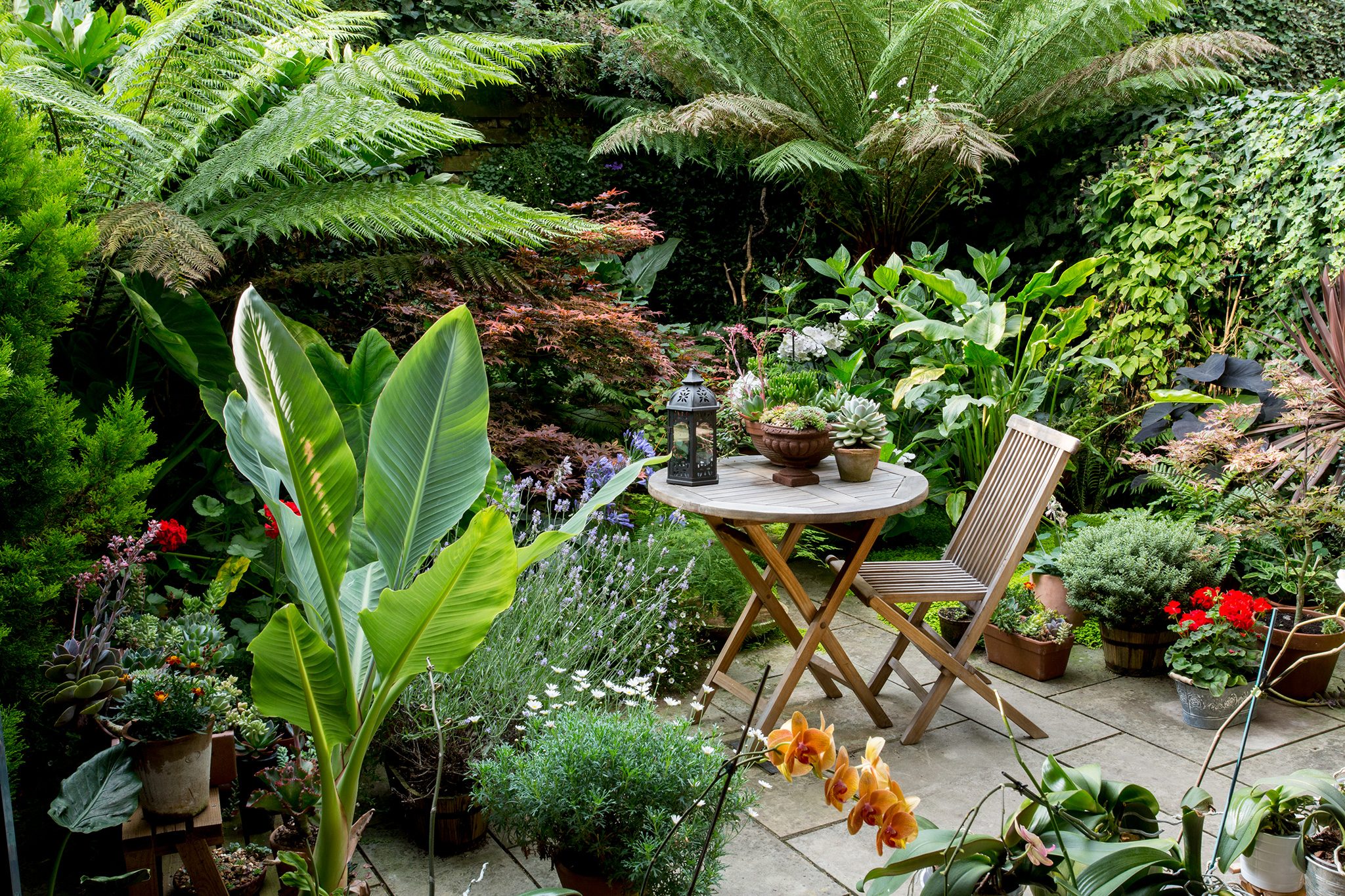 30 Small Garden Design Ideas | BBC Gardeners World Magazine