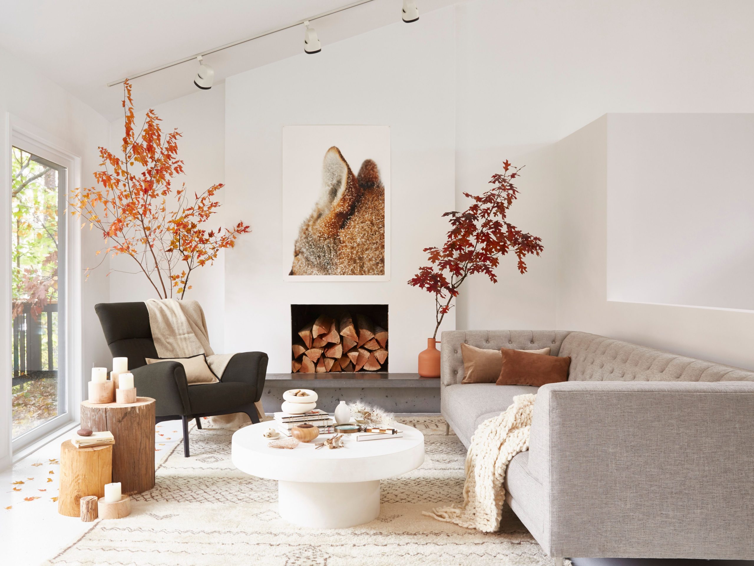 31 Minimalist Living Room Ideas to Simplify Your Space