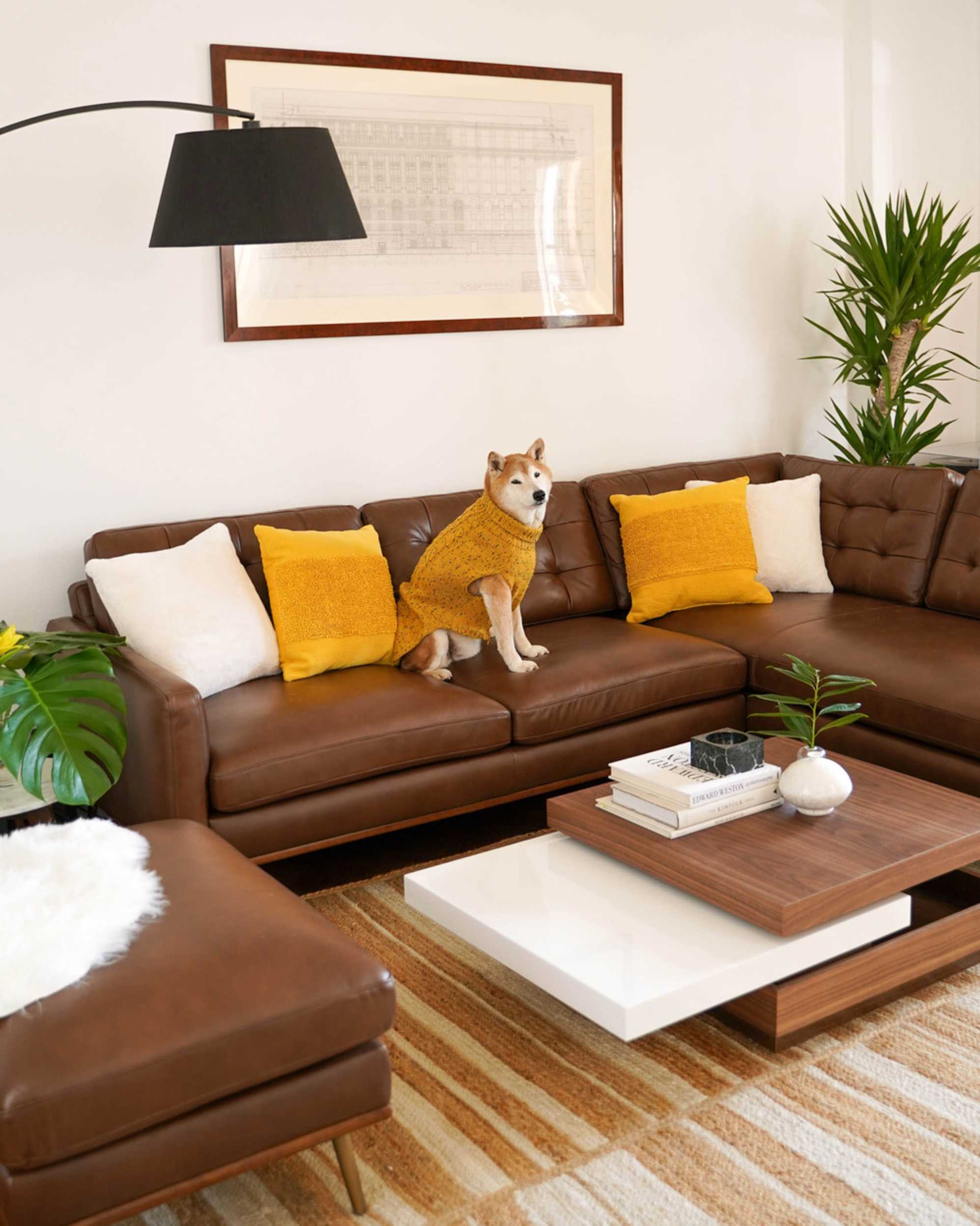 Brown Leather Sofa Styling: 8 Decor Ideas | Castlery US