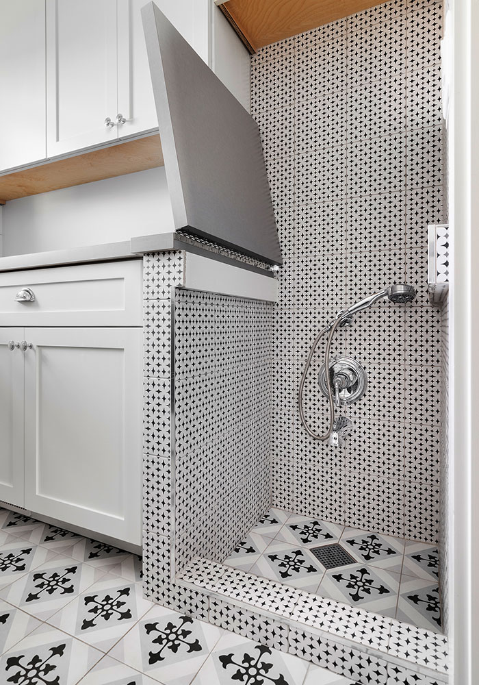 Build a dog washing station | Project Of The Month