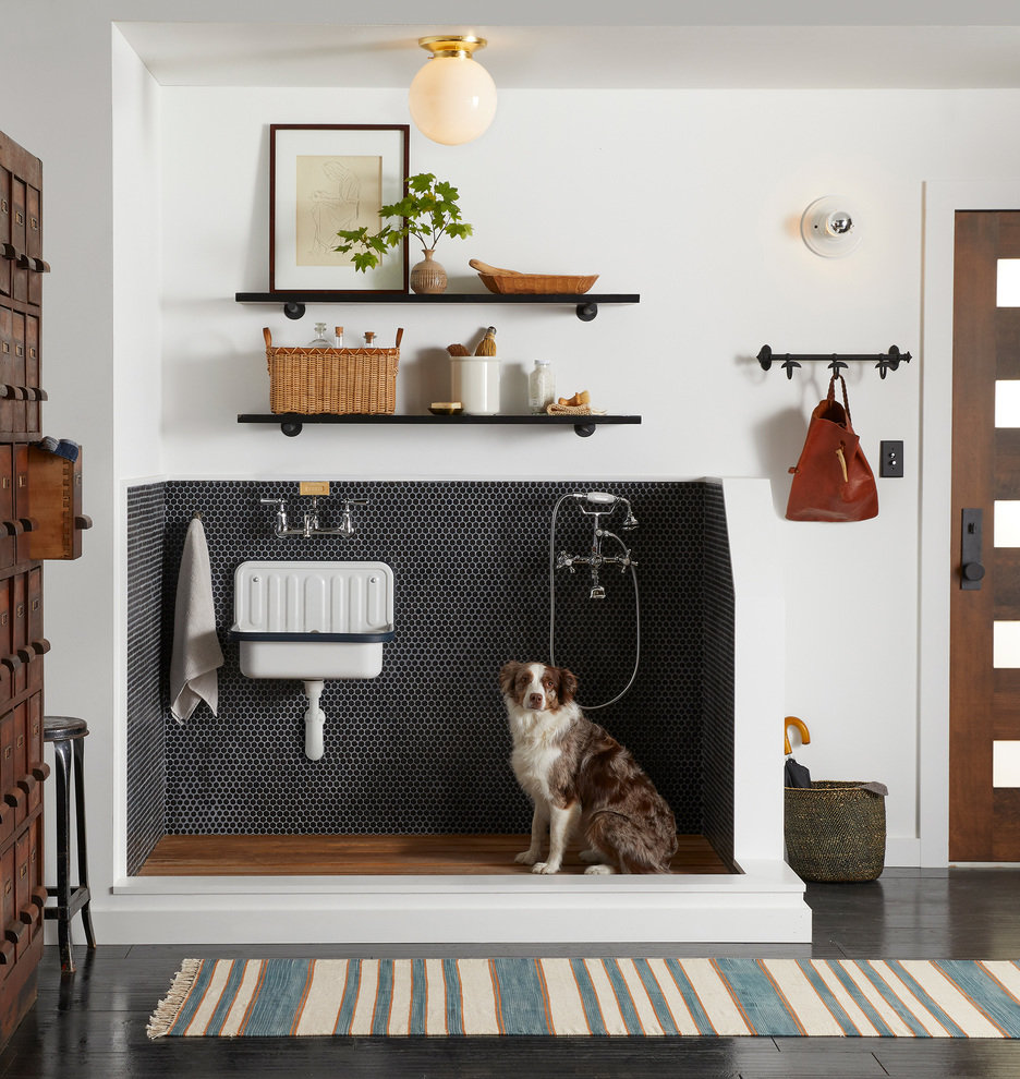 Everything You Need to Know About Dog Washing Stations — CESARIO & CO