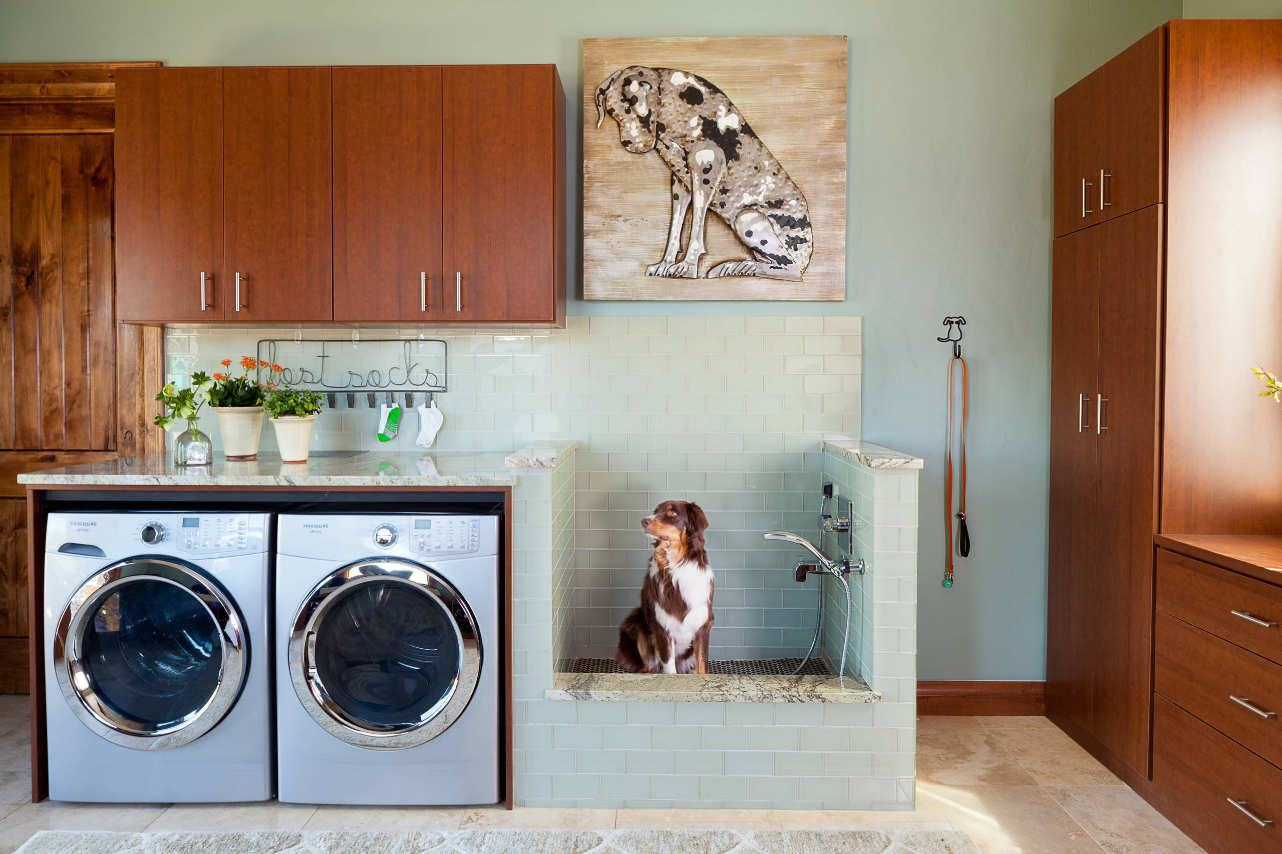 It's a Dog's World in These Hardworking Laundry Rooms
