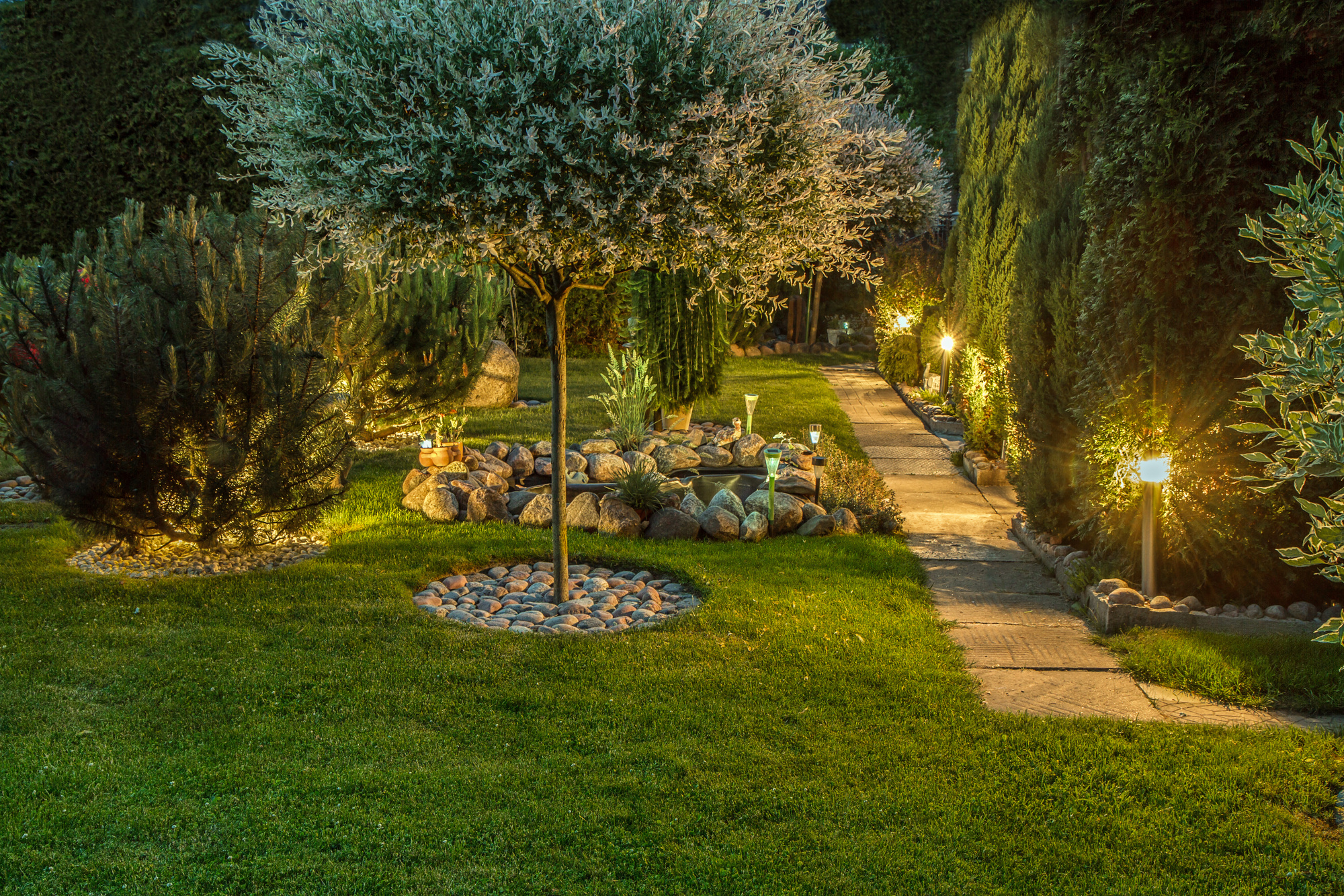 Landscape Lighting Ideas for Your Backyard Oasis