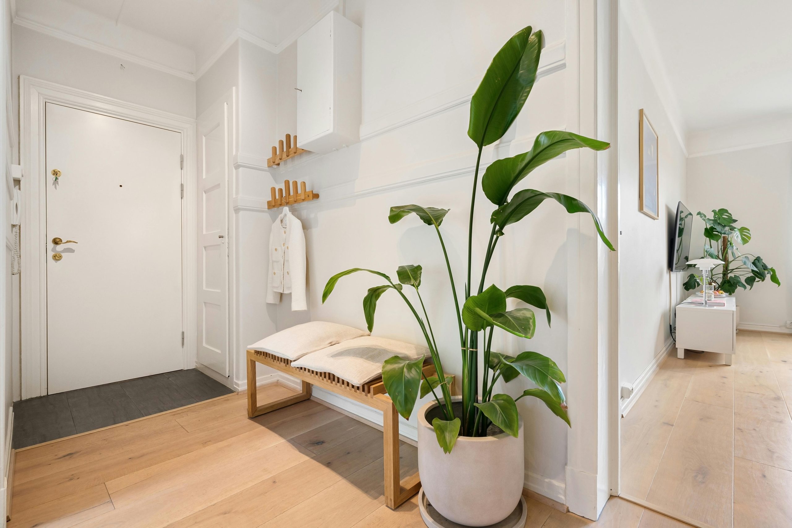 Minimalist interior featuring a house plant and wooden decor in a bright hallway.