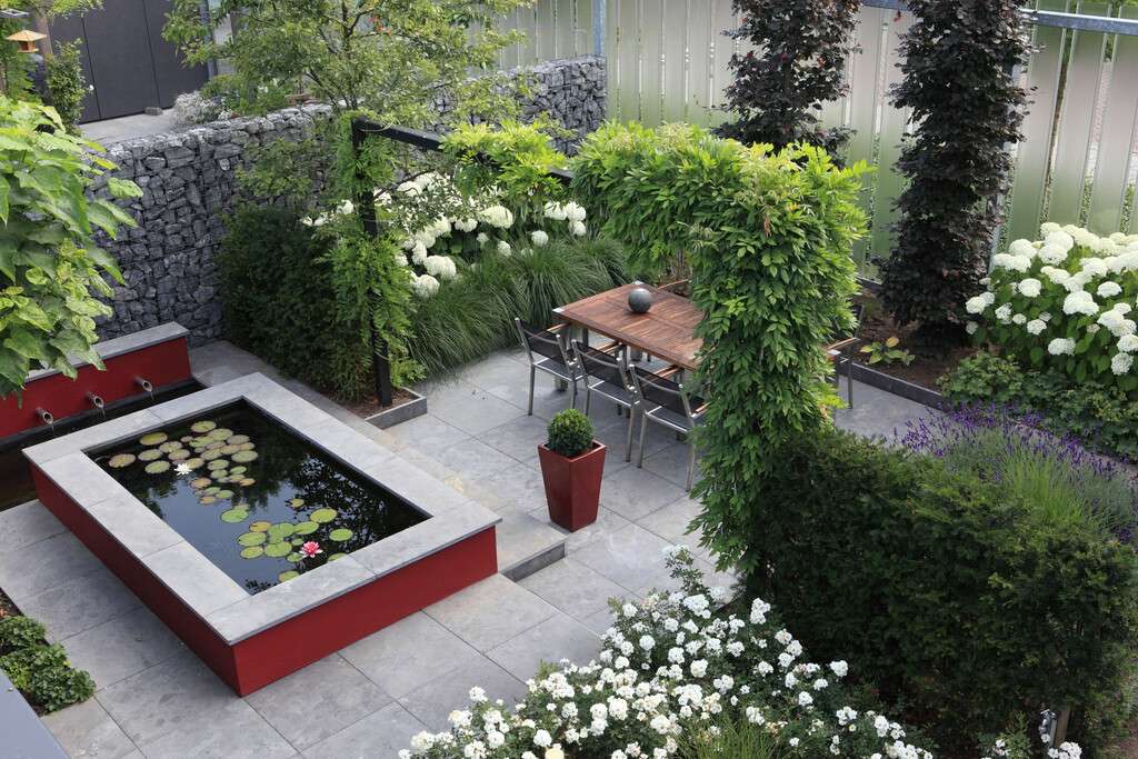 Modern garden design & best plants to get the modern garden look