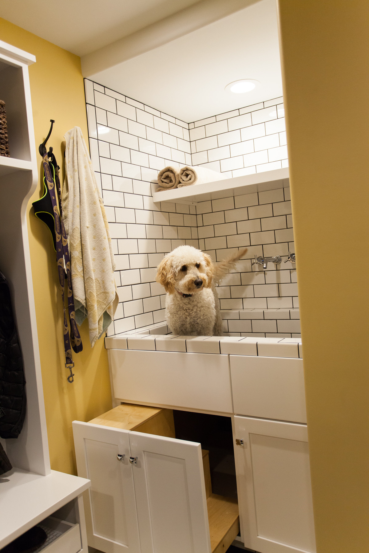 Mud Room Dog Wash - Photos & Ideas | Houzz