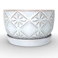 allen + roth Ceramic Indoor Planter