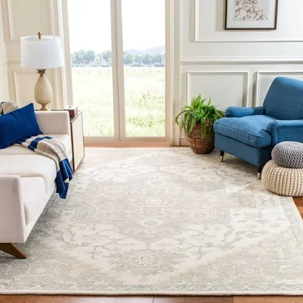 Safavieh Micro-Loop Rug