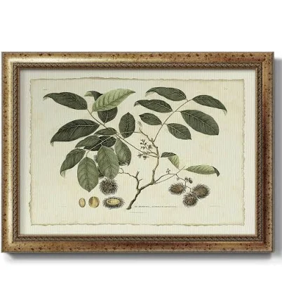 Delicate Botanical III Premium Framed...