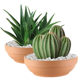 2 Pack Large Round Terra Cotta Pots w...