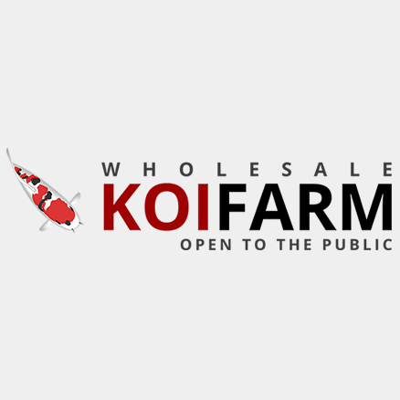 Standard Grade Regular Koi Fish (10 i...