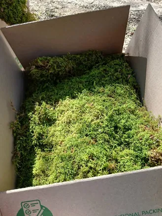 Fresh Sheet Moss 3 to 5 lb Box